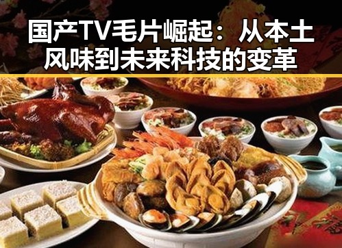 国产TV毛片崛起：从本土风味到未来科技的变革