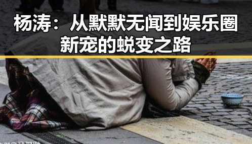 杨涛：从默默无闻到娱乐圈新宠的蜕变之路